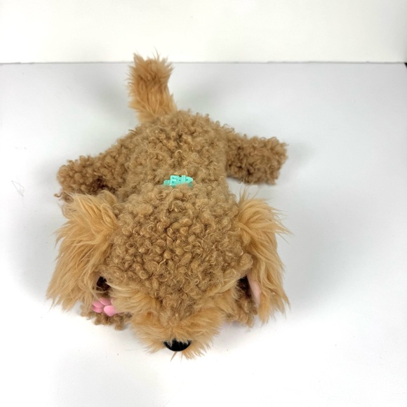 Little Live Pets My Really Real Puppy CURLEY Dog Golden Doodle Curly Cavoodle - Picture 2 of 7